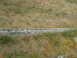 image number TNWELLRD 970
